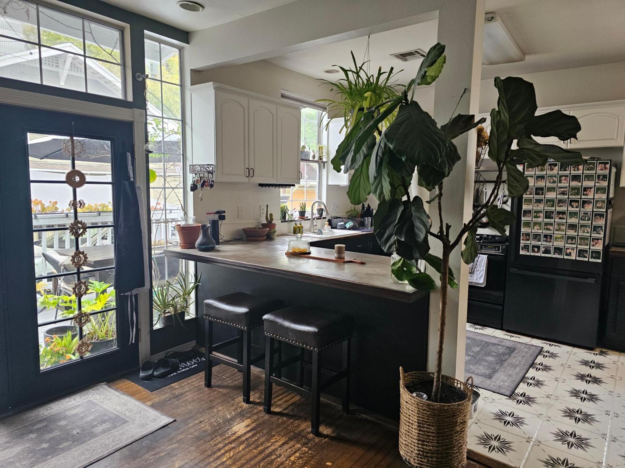 Séjour chez l'habitant Tranquility At The House Of Alchemy Hollywood