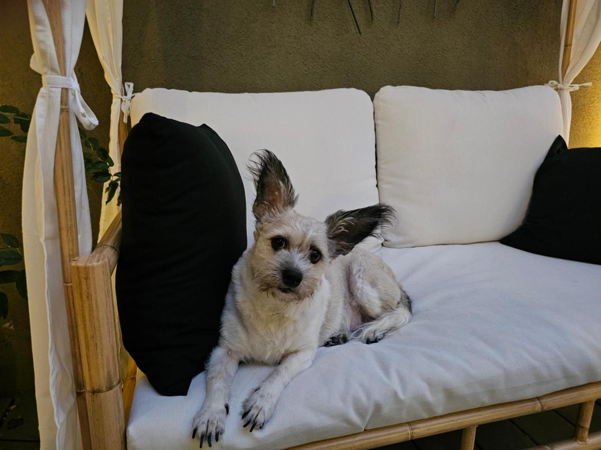 Séjour chez l'habitant Tranquility At The House Of Alchemy Hollywood Los Angeles